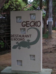 #40 Gecko (sign)