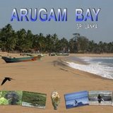 Having Fun at Arugam Bay