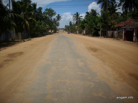New wide  trunk road March 2009