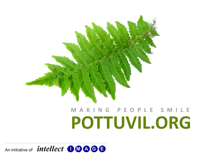 www.Pottuvile.org