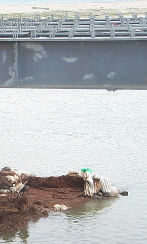 Pollution of Arugam Bay Lagoon