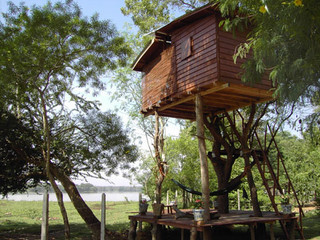 Treehouse on the lake