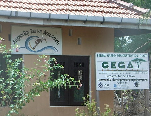 CEGA Garden Project